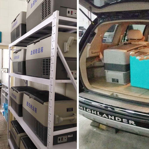 醫(yī)療科研專用汽車轉(zhuǎn)運醫(yī)用運輸箱 安全、精準(zhǔn)、高效的樣本保障方案